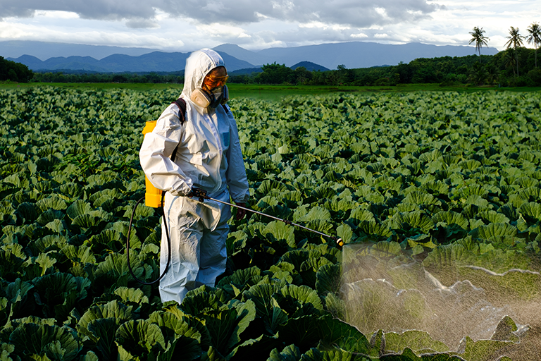 Trabalhador usando EPIs no campo
